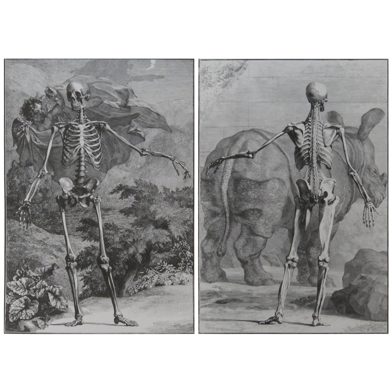 After: After Jan (Jean) Wandelaar, Dutch (1690-1759) Two modern prints featuring allegorical scenes of skeletons