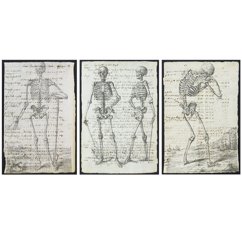 Three (3) 18th Century Manuscript Pages Decorated with Later Engravings "Skeleton"