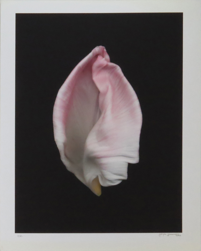 Joyce Tenneson, American  (b. 1945) "Intimacy Tulips" Limited Edition Photograph. 