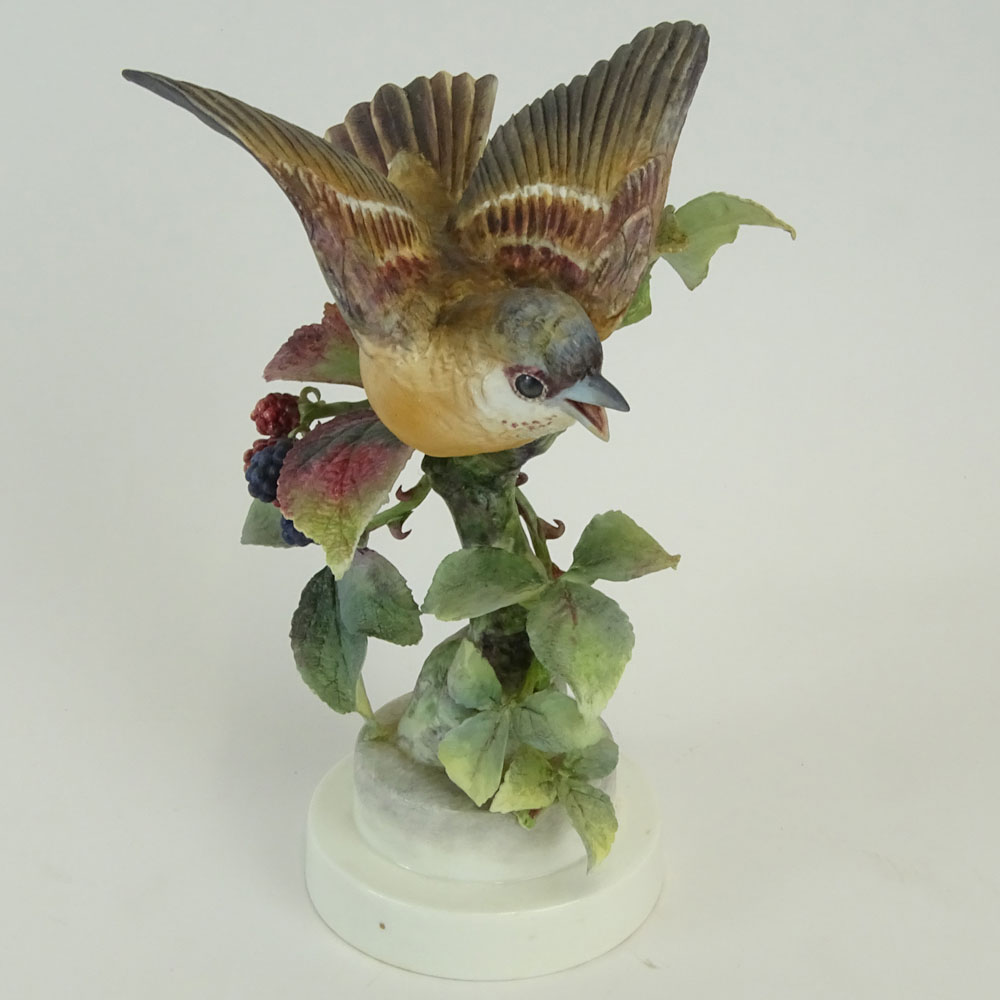 Dorothy Doughty Royal Doulton Porcelain Bird Group "Indigo Bunting & Blackberry Sprays". 