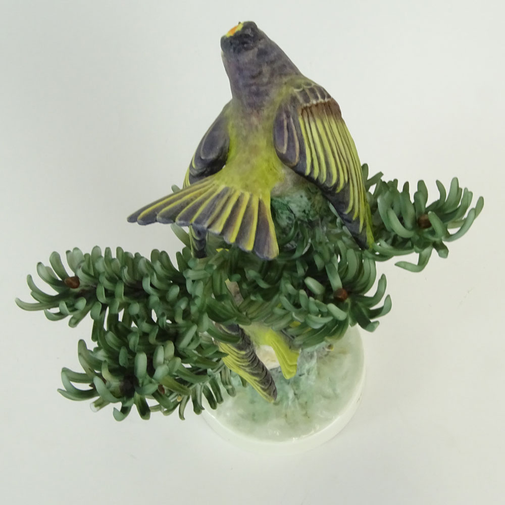 Dorothy Doughty Royal Doulton Porcelain Bird Group "Golden Crowned Kinglet". 