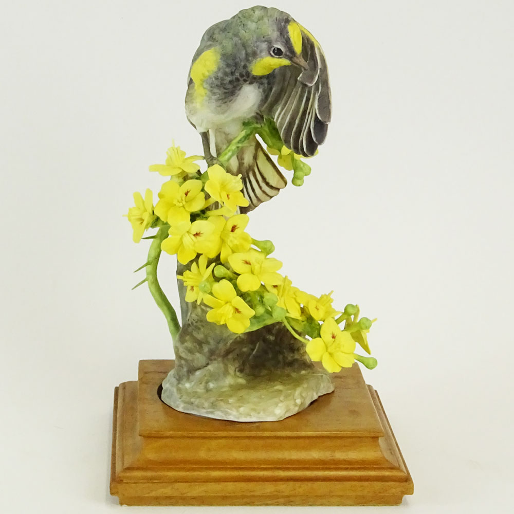 Dorothy Doughty Royal Doulton Porcelain Bird Group "Audubon Warbler and Palo Verdi"