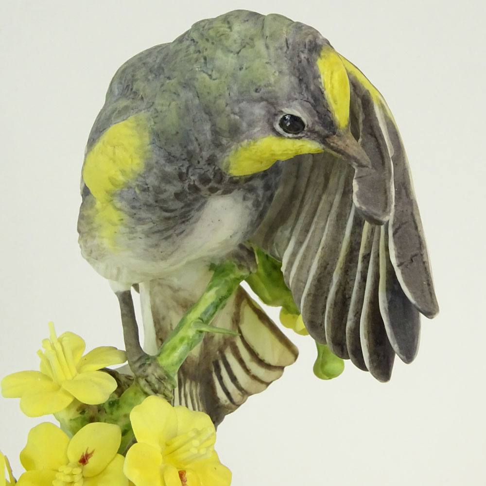 Dorothy Doughty Royal Doulton Porcelain Bird Group "Audubon Warbler and Palo Verdi"