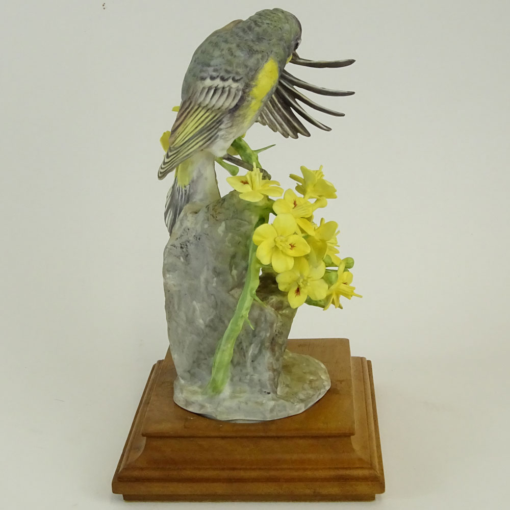 Dorothy Doughty Royal Doulton Porcelain Bird Group "Audubon Warbler and Palo Verdi"