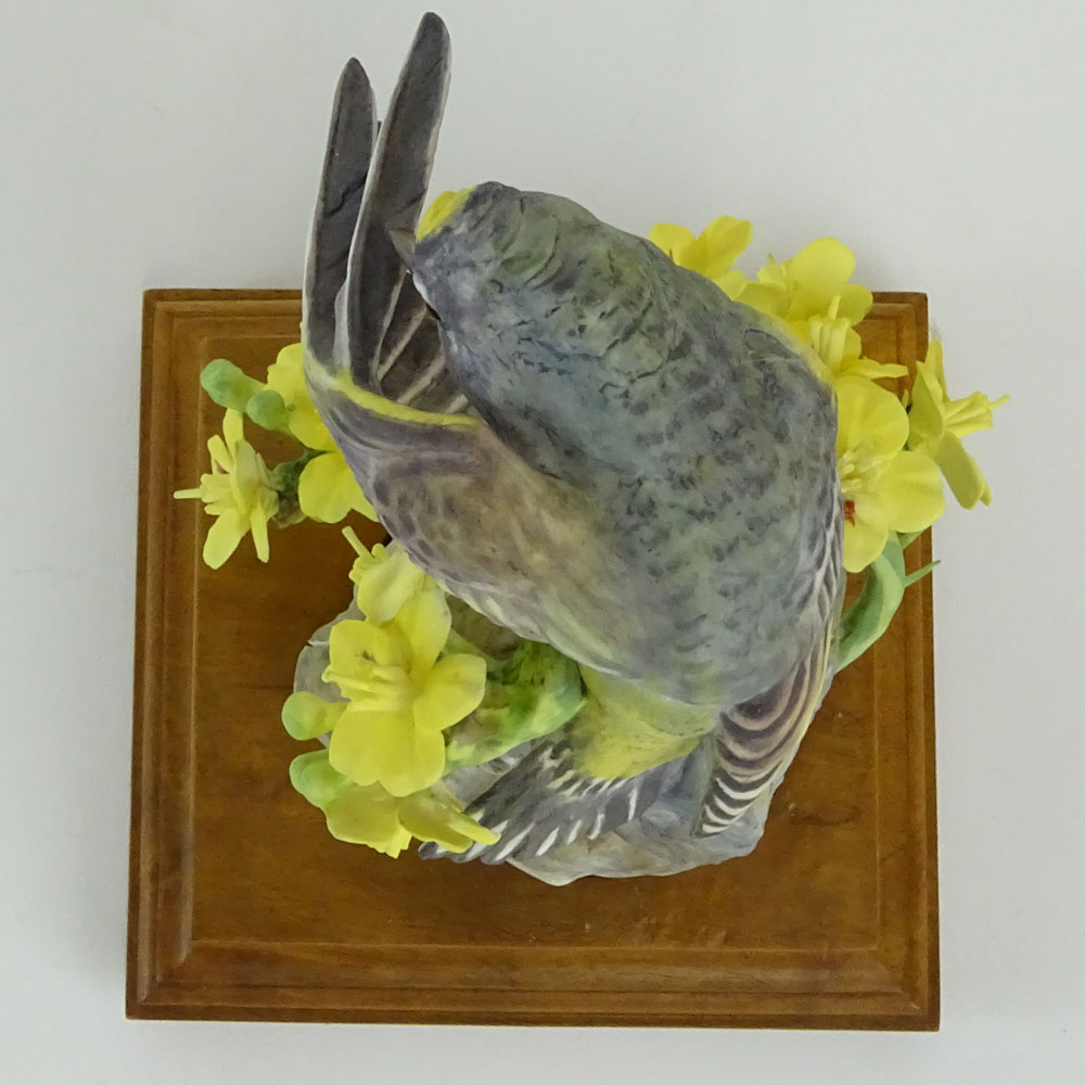 Dorothy Doughty Royal Doulton Porcelain Bird Group "Audubon Warbler and Palo Verdi"