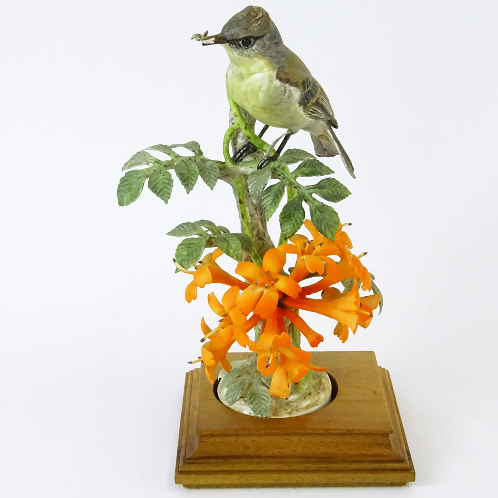 Dorothy Doughty Royal Doulton Porcelain Bird Group "Phoebe Sayor & Flame Vine". 