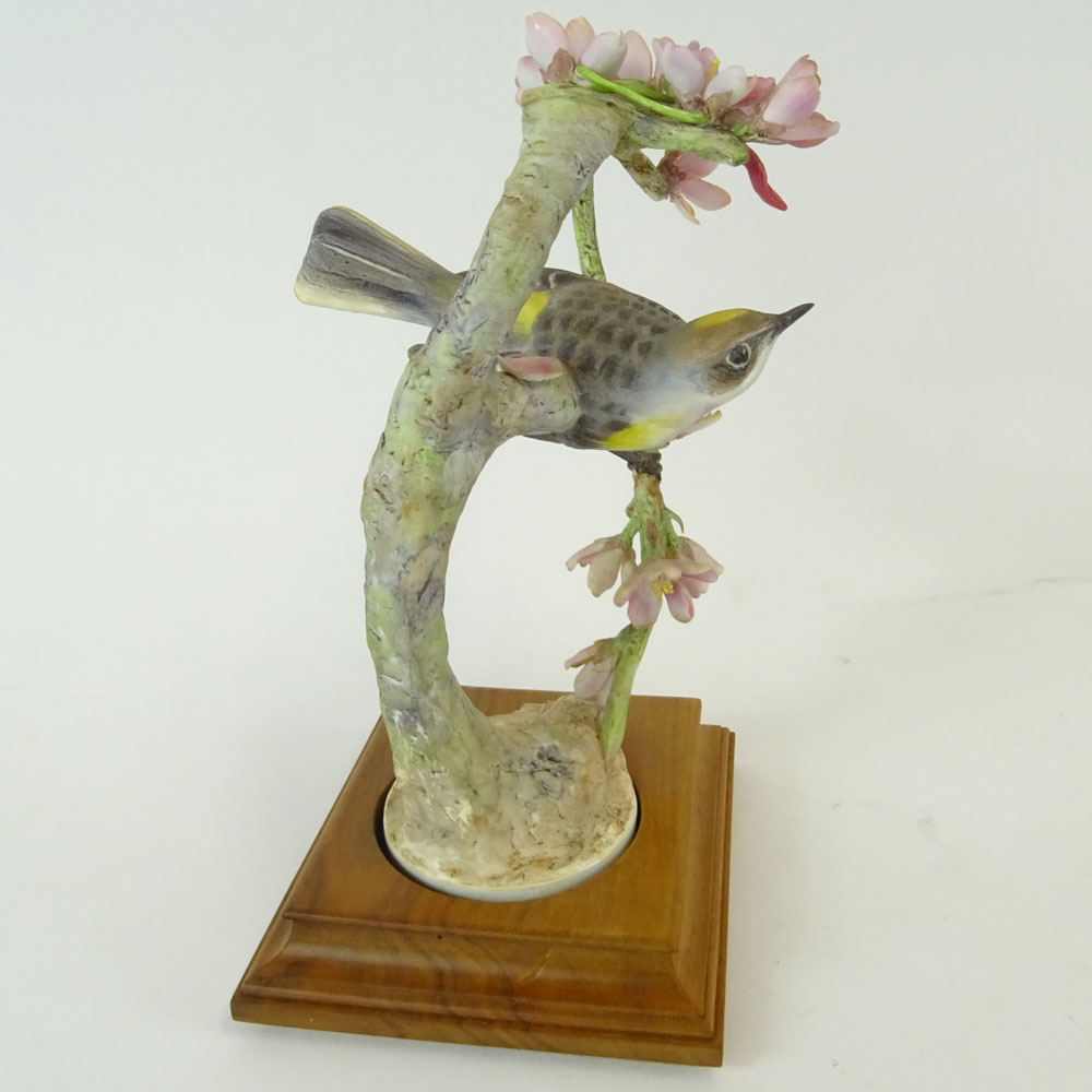 Dorothy Doughty Royal Doulton Porcelain Bird Group "Myrtle Warbler". 