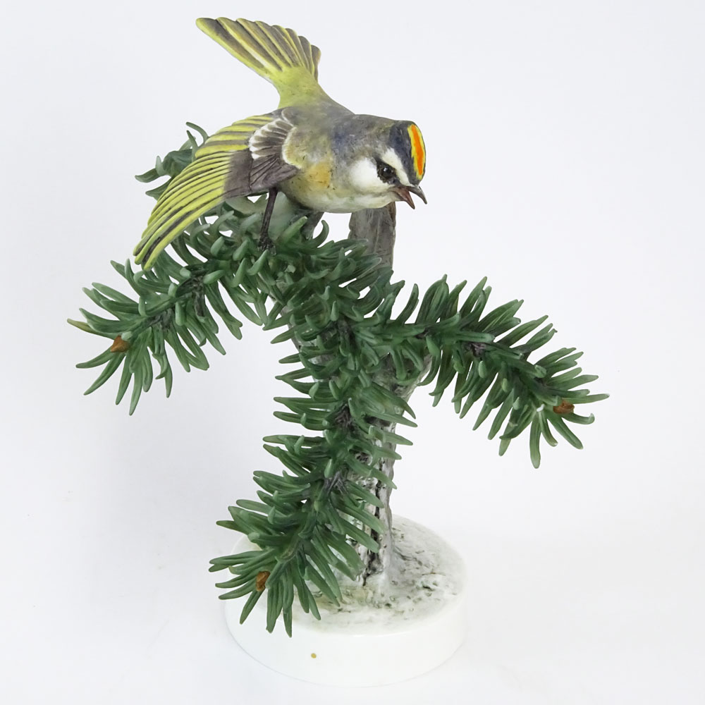 Dorothy Doughty Royal Doulton Porcelain Bird Group "Golden Crowned Kinglet". 