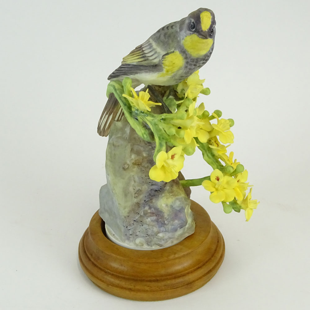 Dorothy Doughty Royal Doulton Porcelain Bird Group "Audubon Warbler and Palo Verdi". 