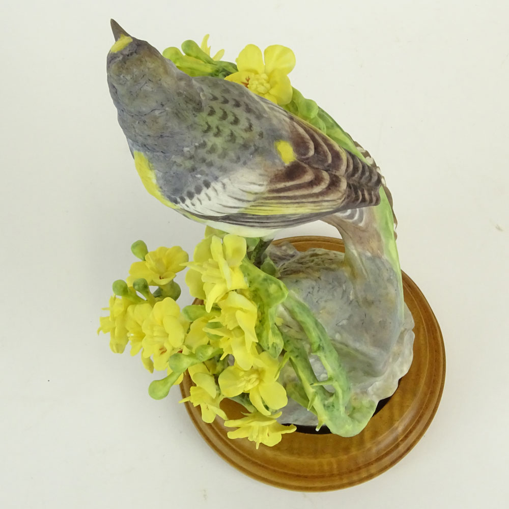 Dorothy Doughty Royal Doulton Porcelain Bird Group "Audubon Warbler and Palo Verdi". 