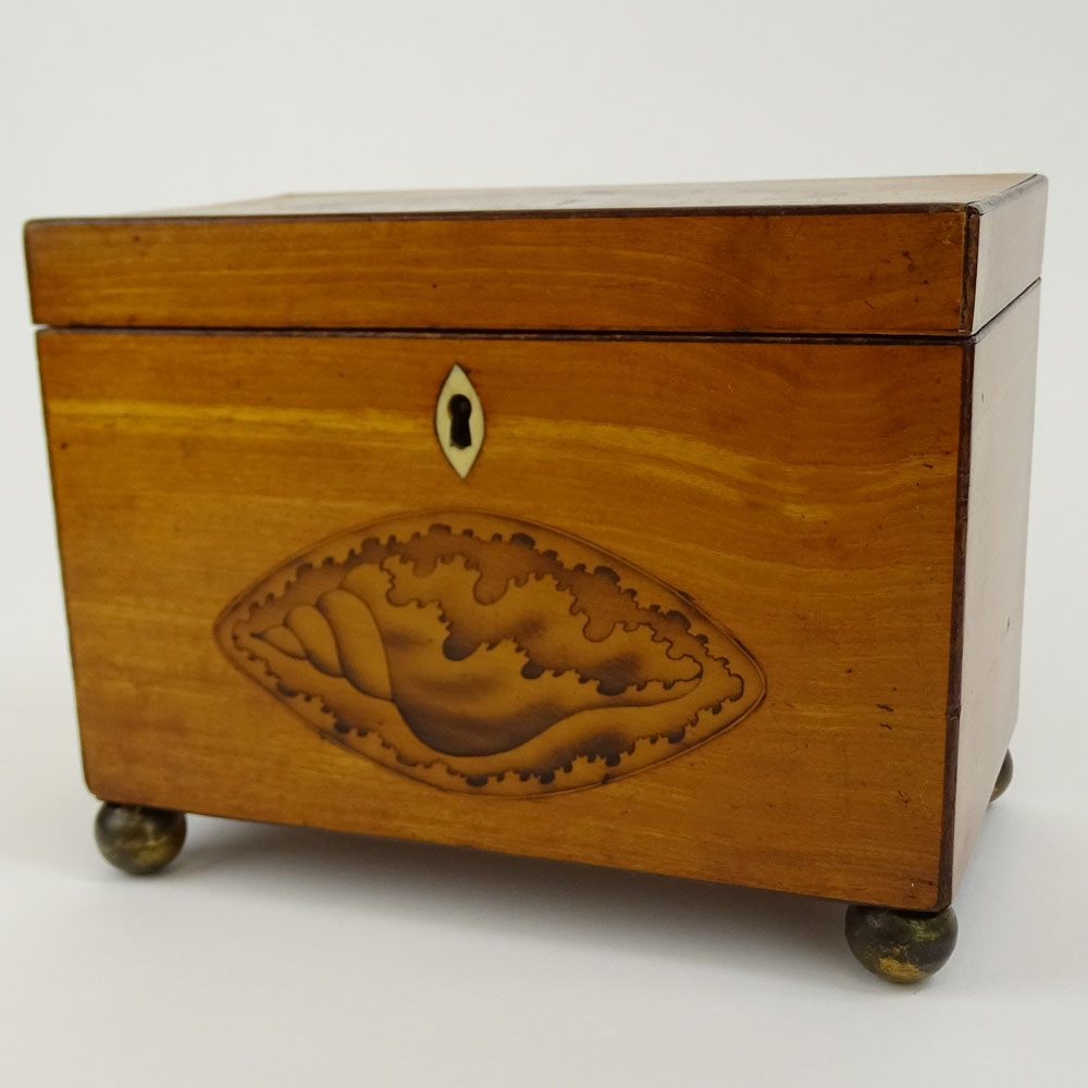 Antique English Satinwood and Boxwood Inlay Shell Motif Tea Caddy.