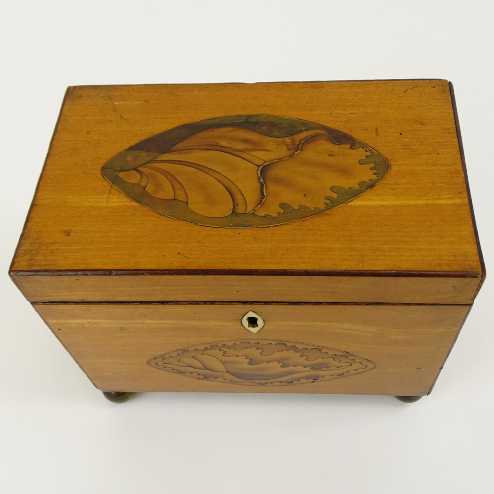 Antique English Satinwood and Boxwood Inlay Shell Motif Tea Caddy.