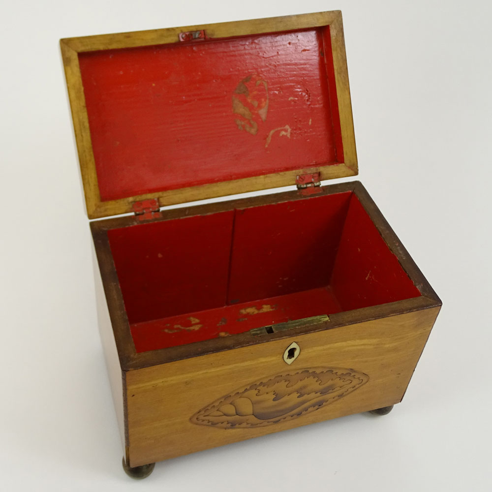 Antique English Satinwood and Boxwood Inlay Shell Motif Tea Caddy.