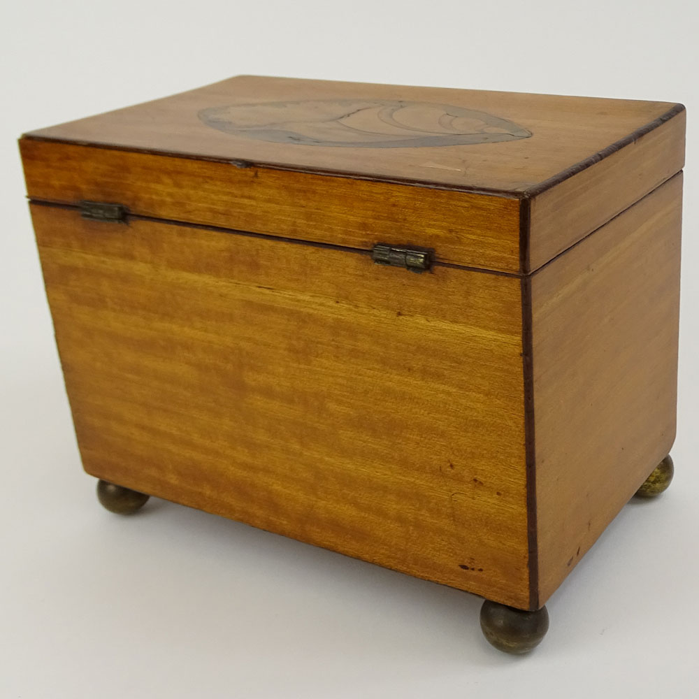 Antique English Satinwood and Boxwood Inlay Shell Motif Tea Caddy.