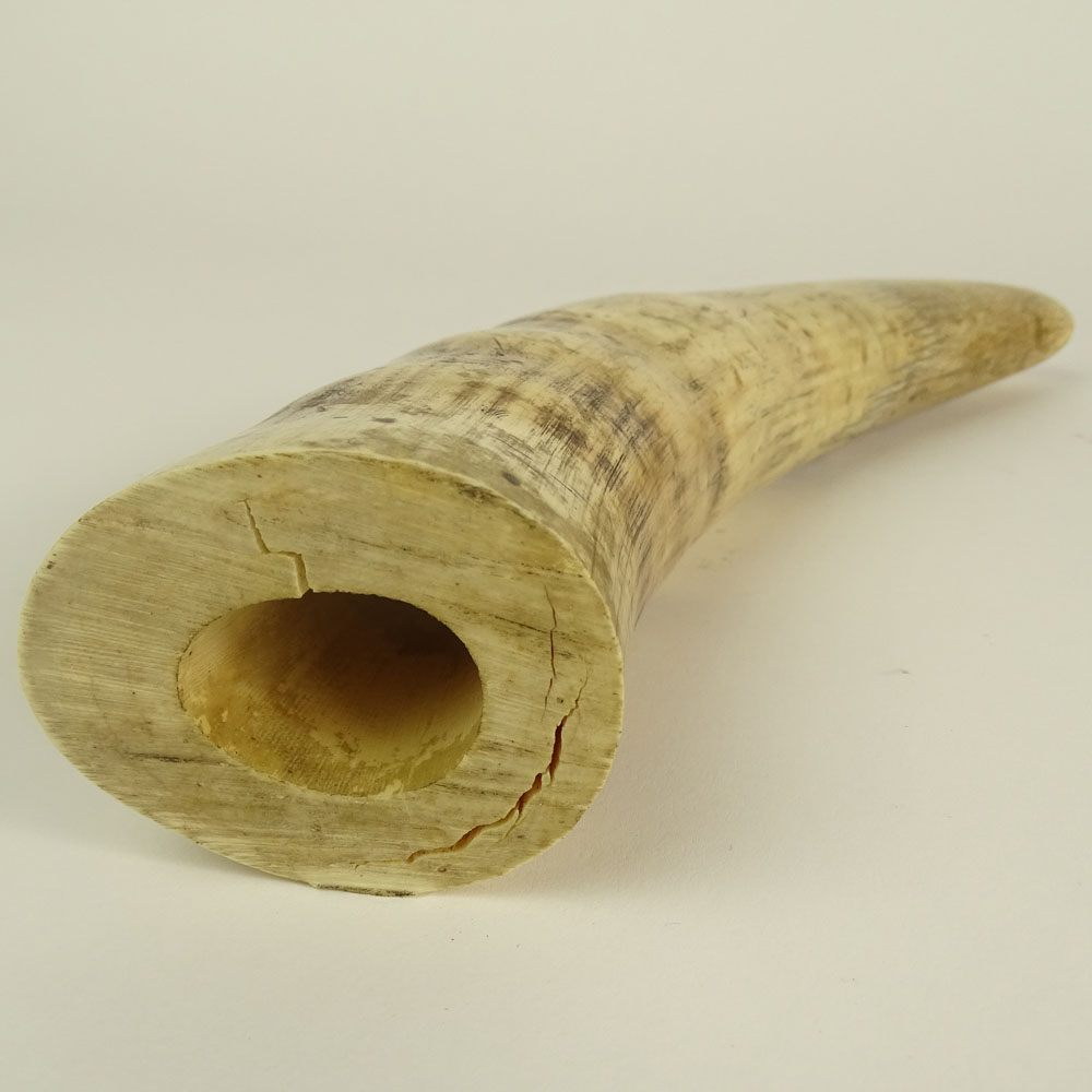 Ivory Walrus Tusk.