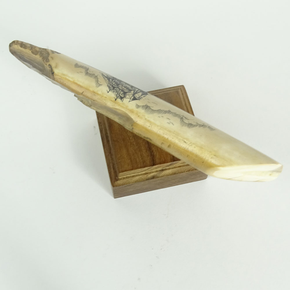 Fossilized Walrus Tusk Scrimshaw. Whaling scene.