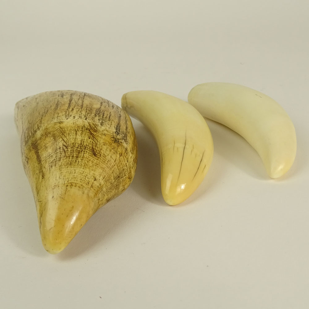 Lot of Three (3) Antique Whale Teeth.