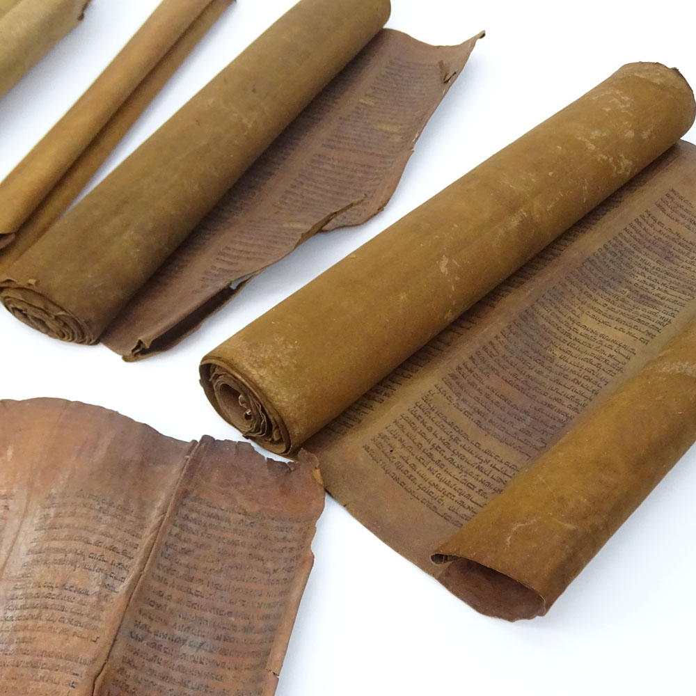 Collection of Seven (7) Antique Possibly 18th Century or earlier Torah Scrolls on Vellum.