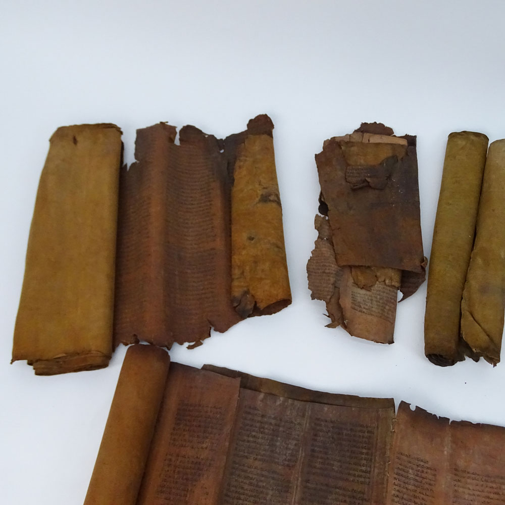 Collection of Seven (7) Antique Possibly 18th Century or earlier Torah Scrolls on Vellum.