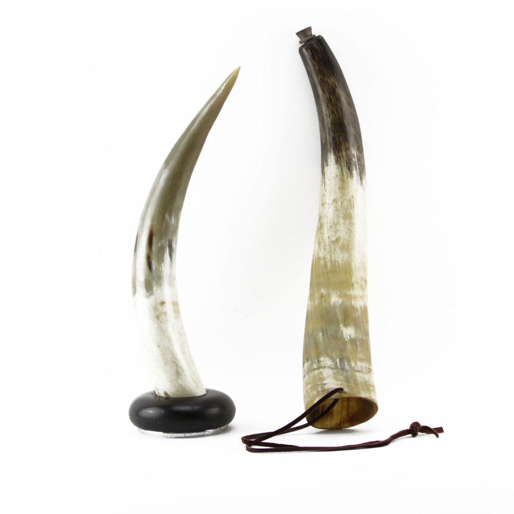 Large Bulls Horn Shofar along with Bulls Horn Mounted on Base.