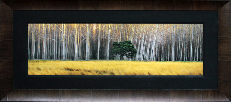 Peter Lik, Australian/American (b-1959) "Golden Silence" Limited Edition Panorama Photographic Print