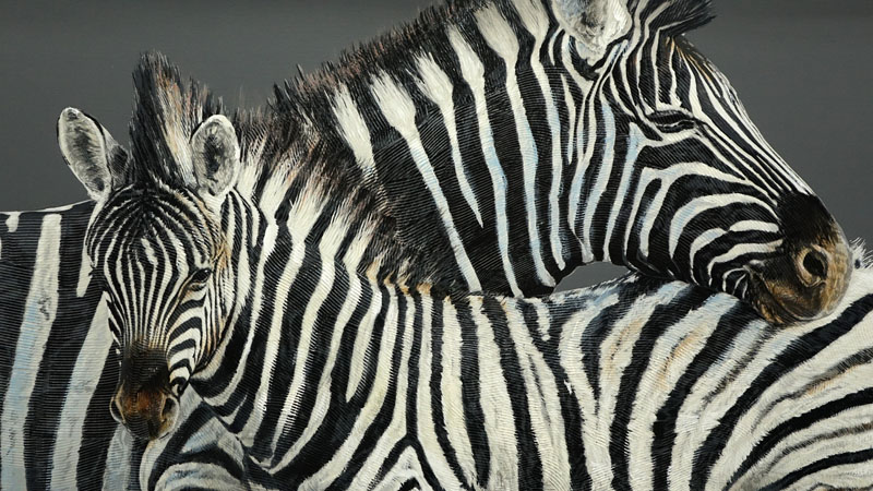 Janson Turner, American (20th Century) Oil on Canvas "Two Zebras" Signed Lower Right