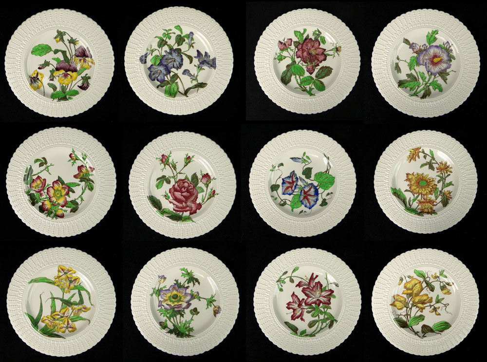 Twelve (12) Royal Cauldon, England Ceramic Dinner Plates in a Flower Series