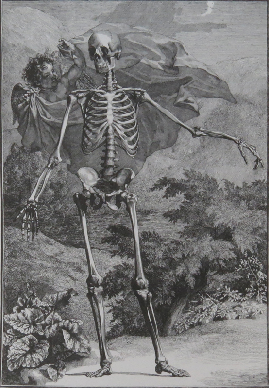 After: After Jan (Jean) Wandelaar, Dutch (1690-1759) Two modern prints featuring allegorical scenes of skeletons