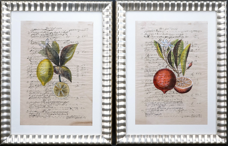 Two (2) 19th Century Ink and Watercolors on paper "Botanicals Of Oranges and Lemons" 