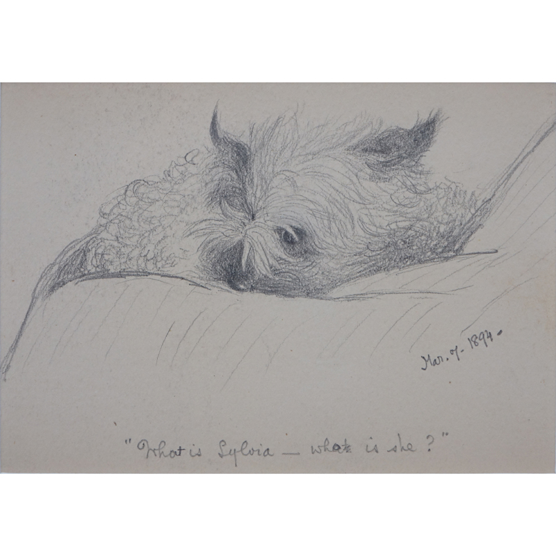 19th Century American Pencil Drawing "Small Dog" Tilted "What is Sylvia - what is she?" 