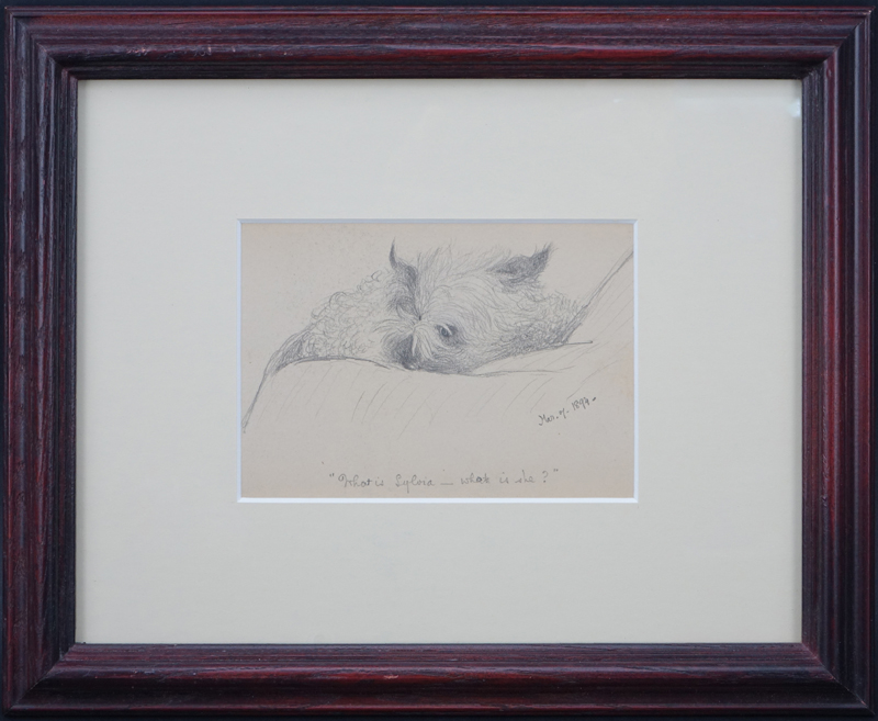 19th Century American Pencil Drawing "Small Dog" Tilted "What is Sylvia - what is she?" 