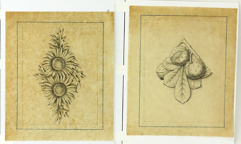 Two (2) 17/18th Century Old Master Pencil and Chalk On Vellum Drawings. "Marroni" and "Cardi". 