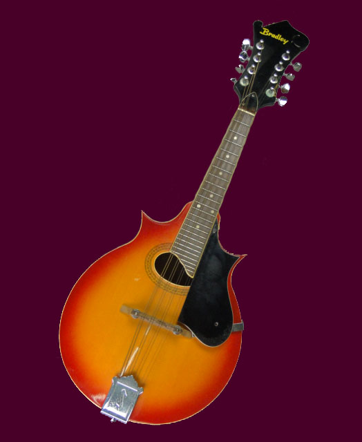 Modern Bradley Mandolin with Case.