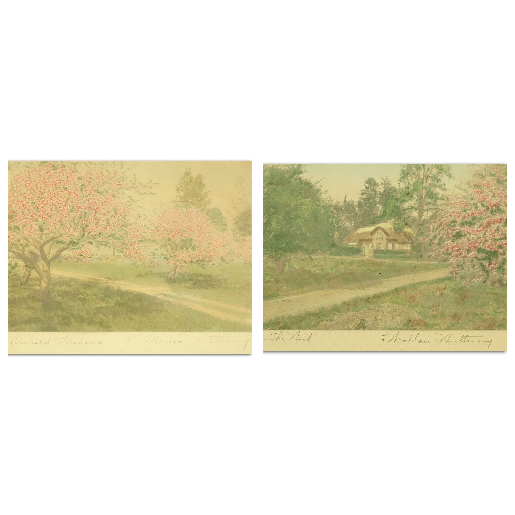 Wallace Nutting, American  (1861 - 1941) Two prints "Orchard Shadows", "The Nest". 