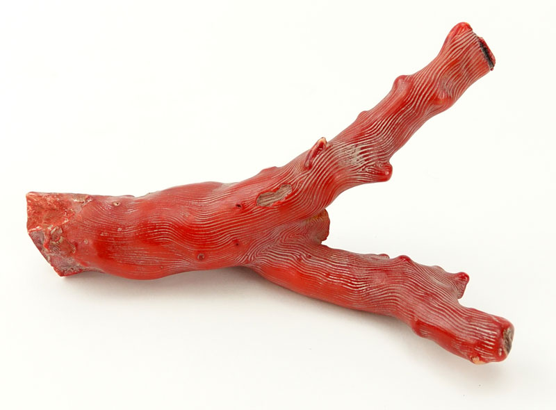 Red Coral with Two Branches. Natural wear.