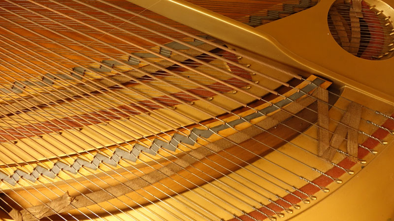 1911 Steinway & Sons Grand Piano Model B #145933 with Bench.