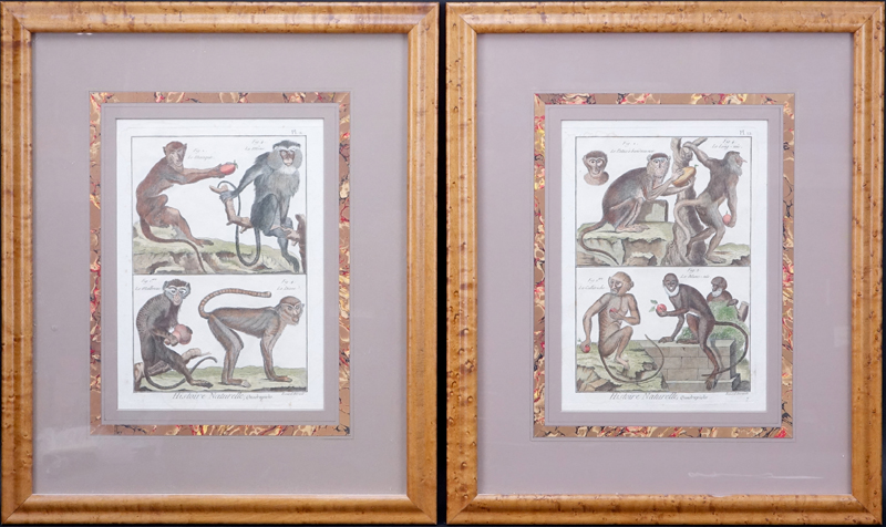 Pair Antique Colored Monkey Engravings "Histoire Naturelle, Quadrupedes" Signed in plate "Benard Direxit". 