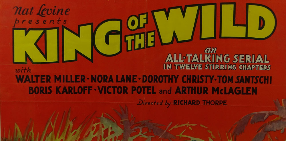 Vintage Movie Poster "King Of The Wild"  One sheet.