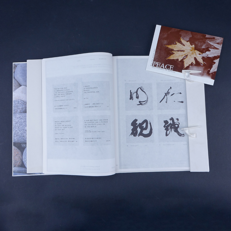 Tetsuzan Shinagawa Talk to a Stone Hardcover Book. by Mikio Shinagawa (Editor), Tetsuzan Shinagawa (Illustrator) 