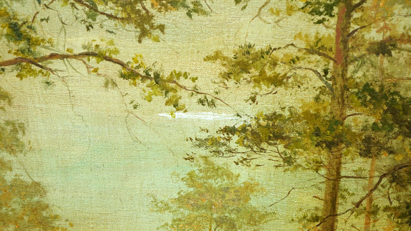 Attributed to: Iwan Iwanowicz Shishkin, Russian (1832-1898), Wooded Landscape. 