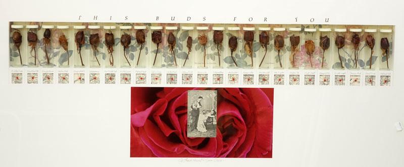 Contemporary Framed Flower Buds "This Buds For You" Wall Art. 