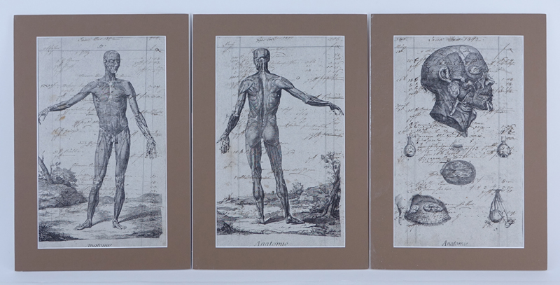 Three (3) Anatomical Male Figure Etchings on 19th Century (1842) Manuscripts/Ledger Pages. Unsigned.