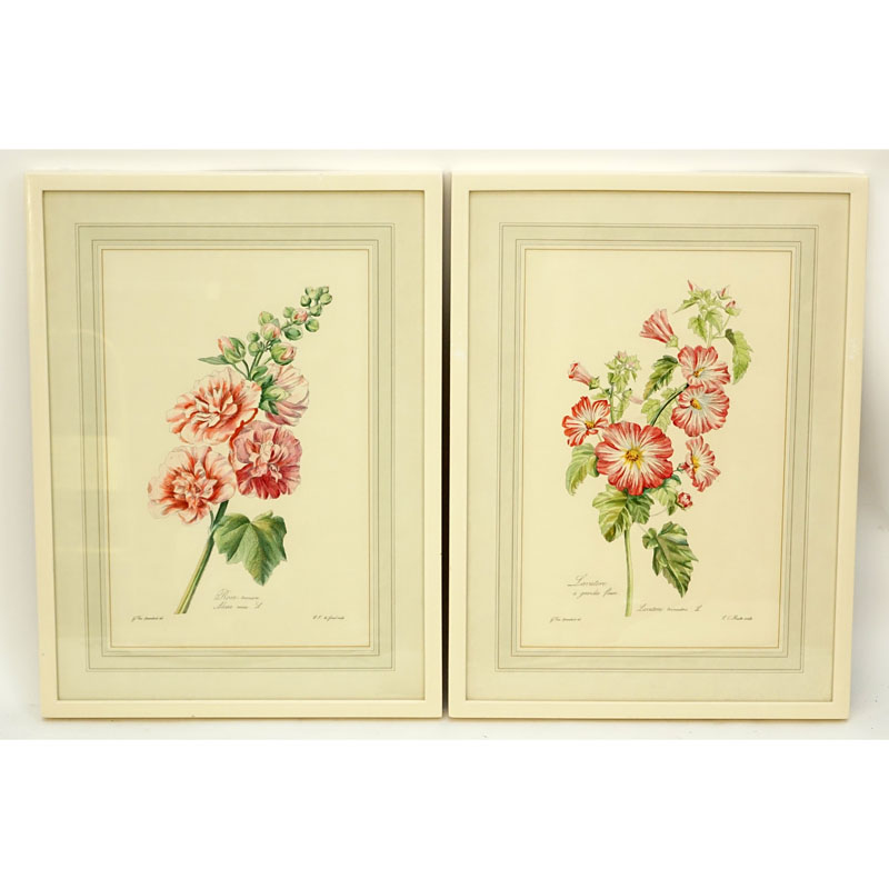 Two (2) After: Gérard van Spaendonck, French (1746 - 1822) Hand Coloured Botanical Engravings. 