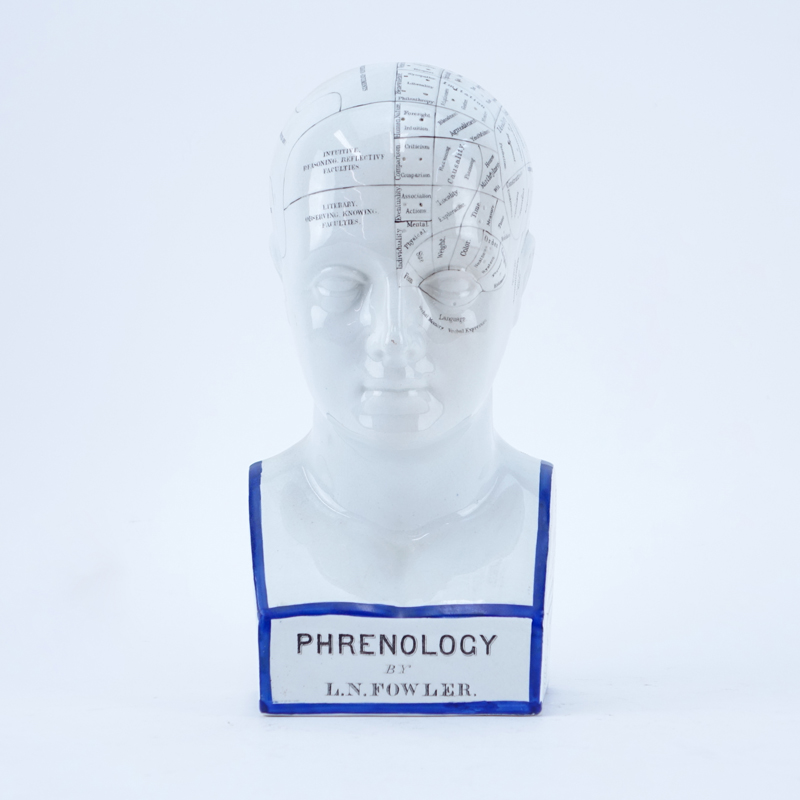 Antique Medical Phrenology Bust After L