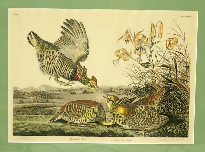 Four (4) Vintage Audubon Prints