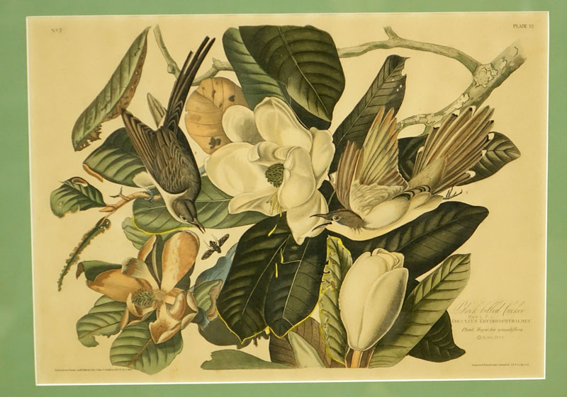 Four (4) Vintage Audubon Prints