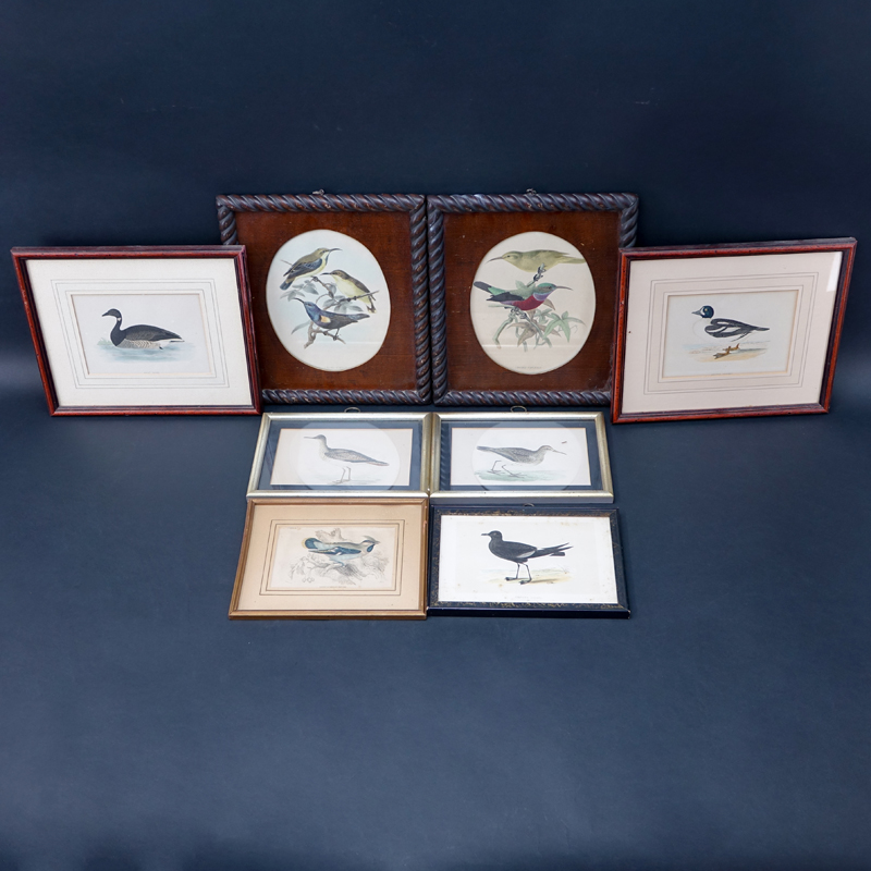 Collection of Eight (8) Vintage Framed Bird Prints