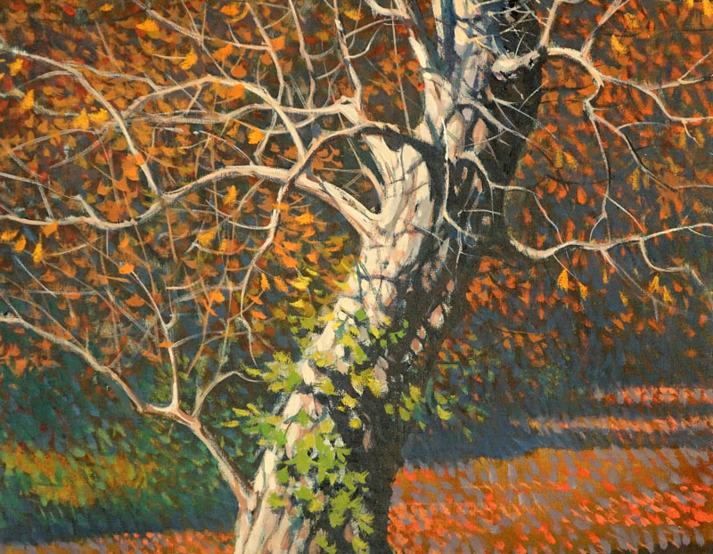 R John Foster, American  (1908 - 1989) Oil on Canvas "Sycamore" Signed Lower Right. 