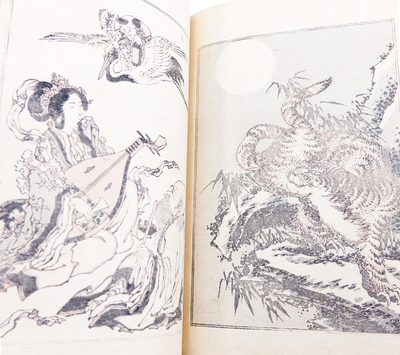 19th Century Japanese  5 Volume Collection Of Printed Books "Pictures By Kansai 1893". Unsigned.