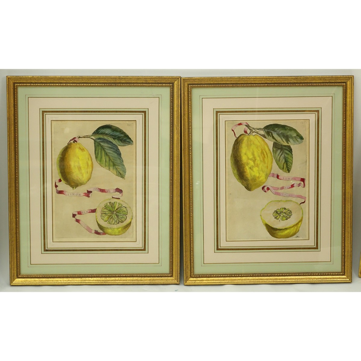 Two 18th Century Hand Colored Botanical Engravings. Unsigned.